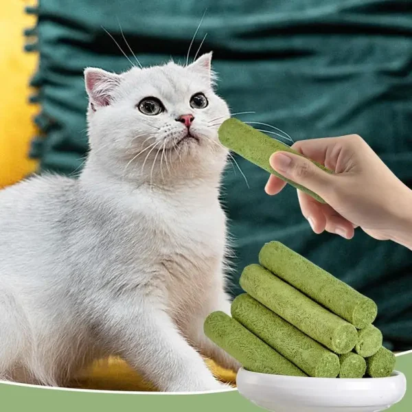 5pcs pack Cat Grass Teething Stick Freeze - Image 2