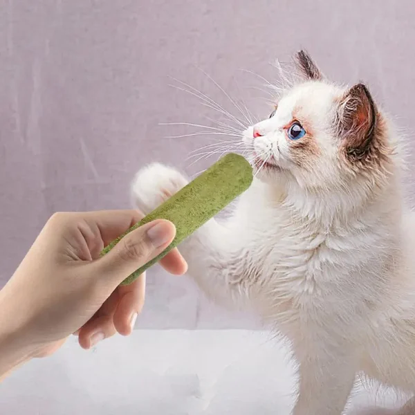 5pcs pack Cat Grass Teething Stick Freeze - Image 3