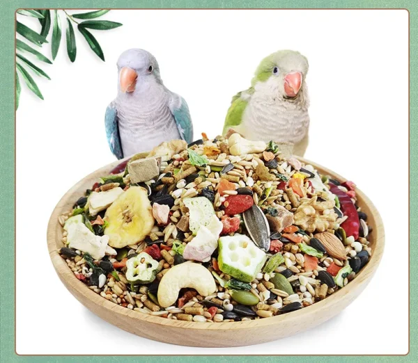 Cockatiel Parrot Supplies Bird Macaw Food