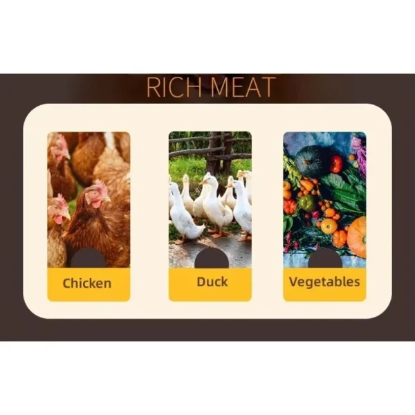 High Protein Chicken Natural Organic Vegetable - Image 6