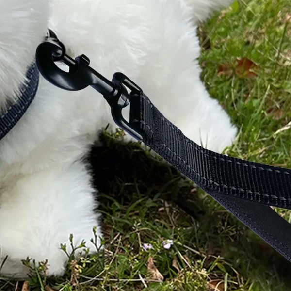 Safe Short Handle Pet Leash - Image 4