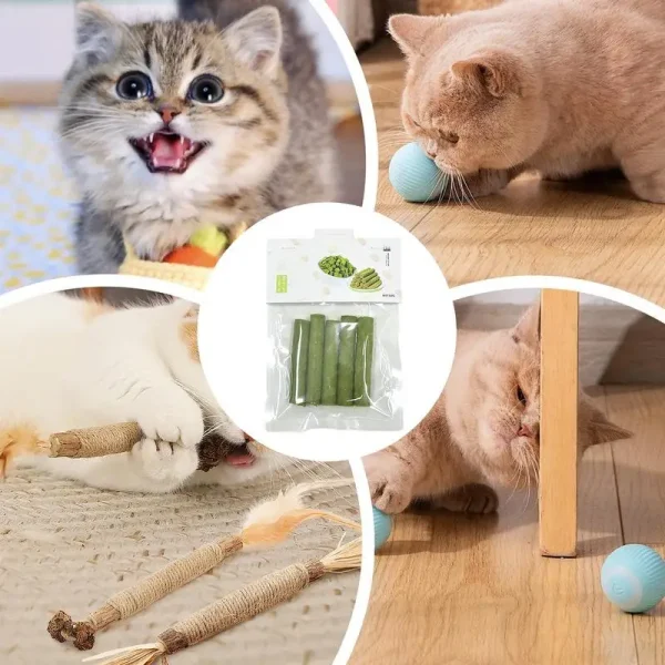 5pcs pack Cat Grass Teething Stick Freeze - Image 5