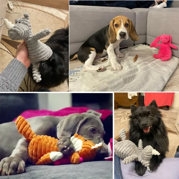 Pets Training Accessories - Image 6