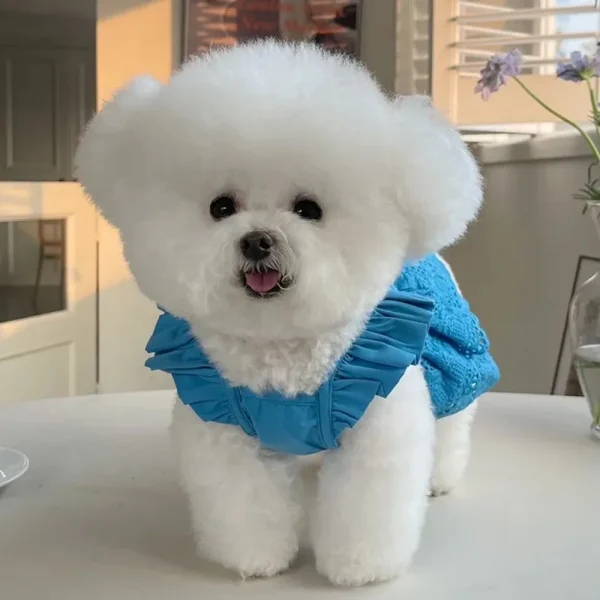 Pet Clothing Spring and Summer - Image 2