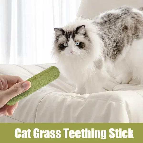 5pcs pack Cat Grass Teething Stick Freeze - Image 4