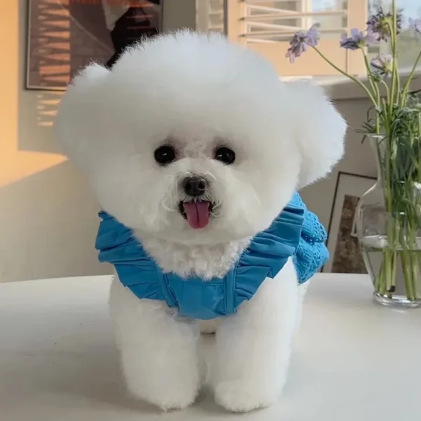 Pet Clothing Spring and Summer