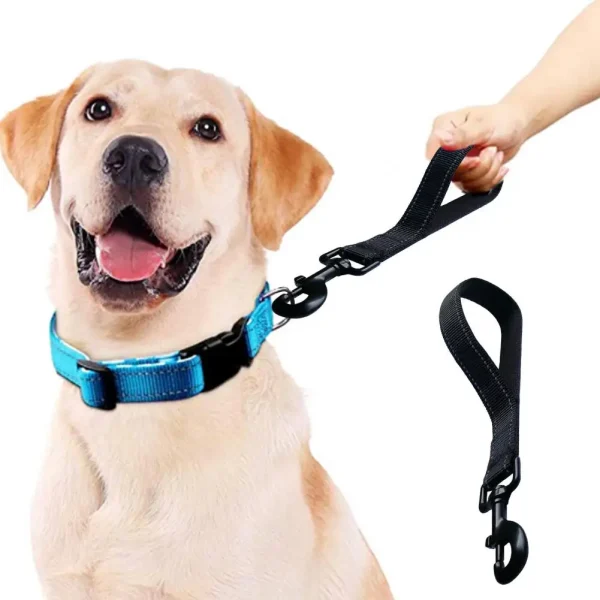 Safe Short Handle Pet Leash
